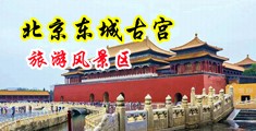 大鸡巴操侠女中国北京-东城古宫旅游风景区